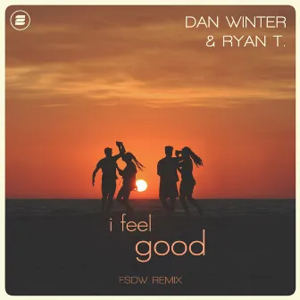 I Feel Good (FSDW Remix) by Ryan T