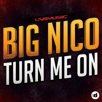 Turn Me On by Big Nico