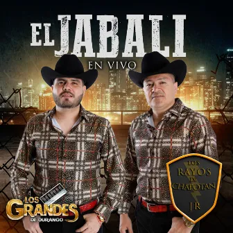 El Jabalí (En Vivo) by Los Rayos De Chapotan Jr.