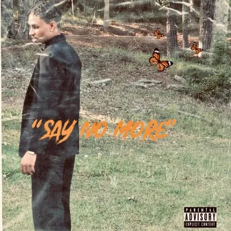 Say No More by Zany Williams