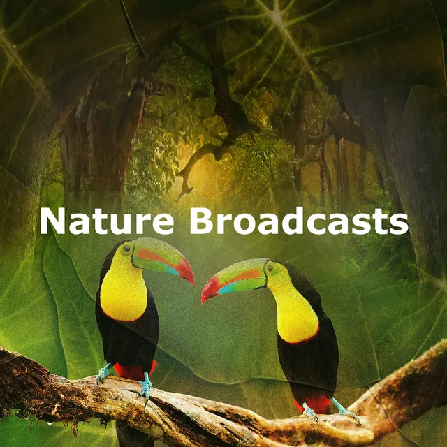 Nature Broadcasts