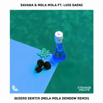 Quiero Sentir [Mola Mola Remix] by Savana