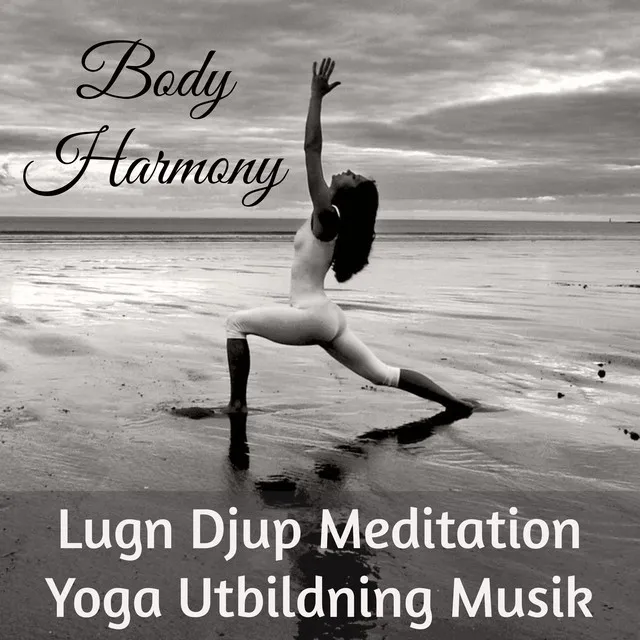 Body Harmony - Lugn Djup Meditation Yoga Utbildning Musik för Chakra Rensning Mindfulnessträning Hälsa och Välbefinnande