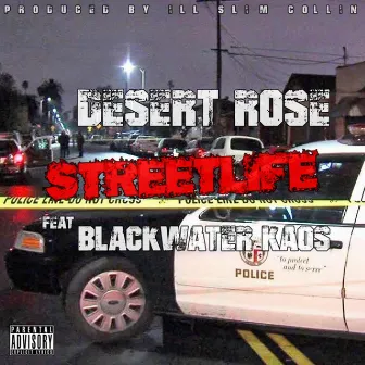 Streetlife by Ill Slim Collin