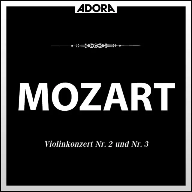 Violinkonzert No. 3 in G Major, K. 216: II. Andante