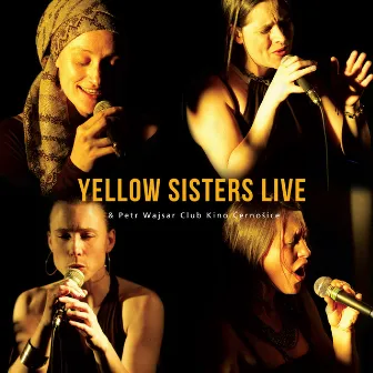 Live & Petr Wajsar (Club Kino Černošice) by Yellow Sisters