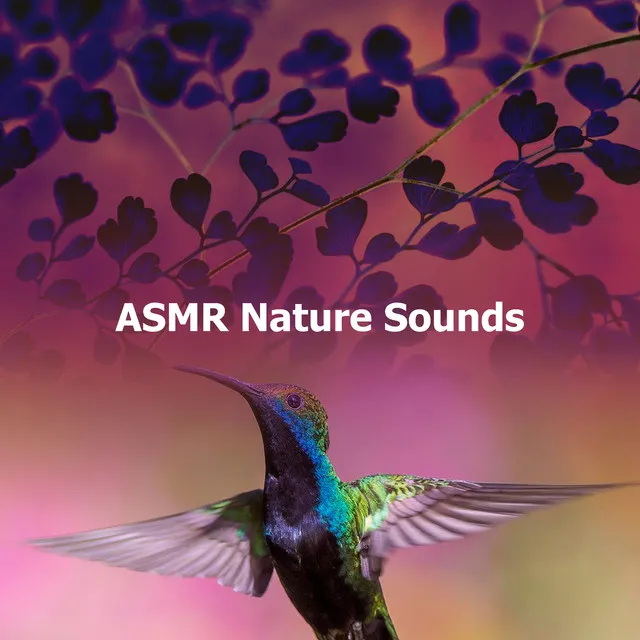 ASMR Nature Sounds