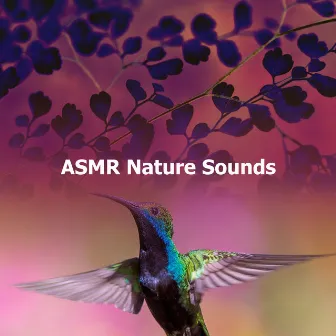 ASMR Nature Sounds by ASMR Birds and Forest Nature Sounds