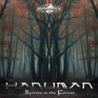 Spirits in the Forest by Hanuman