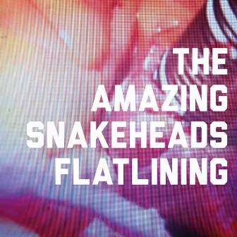 Flatlining by The Amazing Snakeheads