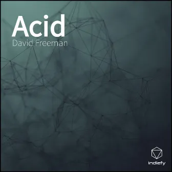 Acid by David Freeman