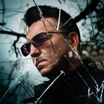 Hollow Meadows by Richard Hawley