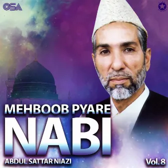 Mehboob Pyare Nabi, Vol. 8 by Abdul Sattar Niazi