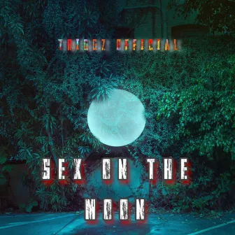 Sex on the Moon by Triggz Official