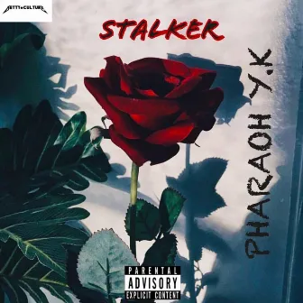 Stalker by Pharaoh .Y.K