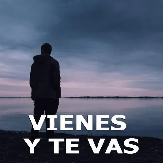 Vienes y te vas, Pt. 2 by Lyan Mx