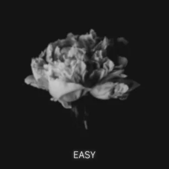 Easy by Josefina