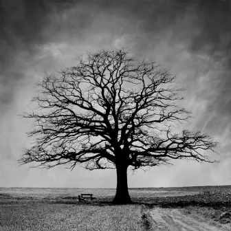 Lonely Tree by Lost Faces