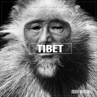 Tibet by Saulo Pisa