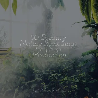 50 Dreamy Nature Recordings for Deep Meditation by Musica romantica instrumental