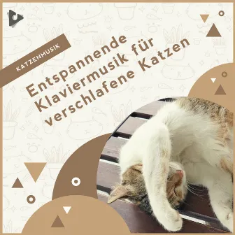 Entspannende Klaviermusik für verschlafene Katzen by Beruhigende Kätzchenmusik