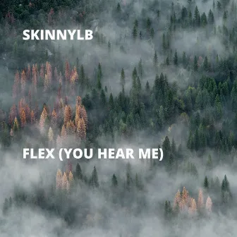 Flex (You Hear Me) by Skinny L.B.