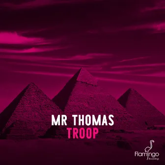 Troop by Mr. Thomas