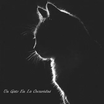 Un Gato en la Oscuridad by Instrumentales Sinfónicas