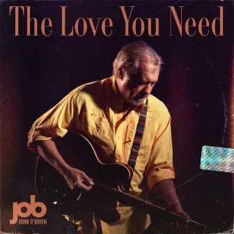 The Love You Need by John O'Brien