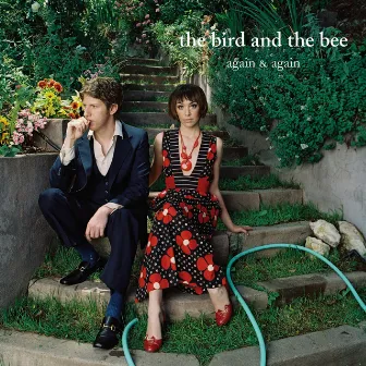 Again & Again by the bird and the bee