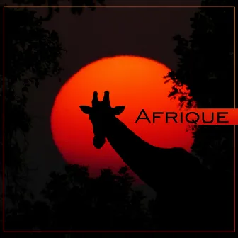 Afrique - Musique ethnique, Rythme africain, Détente avec musiques du monde, Percussions traditionnelles by Club de Méditer et Détendre