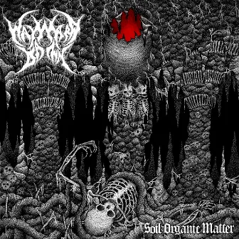 Soil Organic Matter by Wayward Dawn