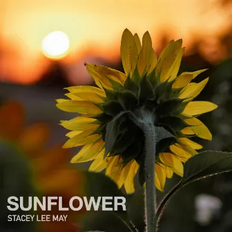 Sunflower by Stacey Lee May