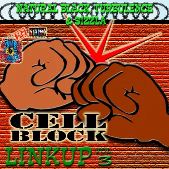 Cell Block Studios Presents: Linkup Vol, 3 by Natural Black