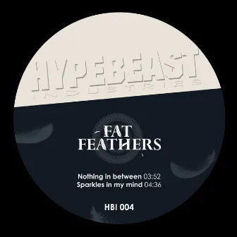 Nothing in Between / Sparkles in My Mind by Fat Feathers