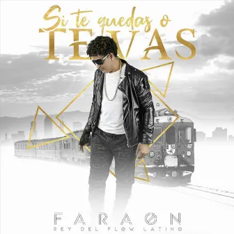 Si Te Quedas o Te Vas by Faraon