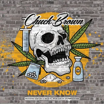 Never Know by ChuckBrownLyrics