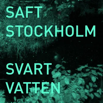 Svart Vatten by Saft Stockholm