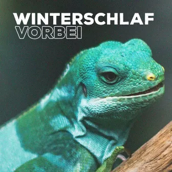 Winterschlaf vorbei by Lazy Lizzard Gang