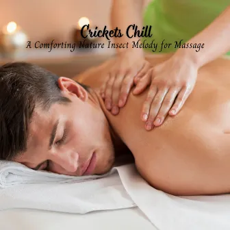 Crickets Chill: A Comforting Nature Insect Melody for Massage by Real Massage Music Collection