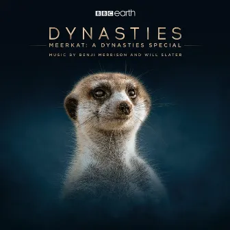 Meerkat: A Dynasties Special (Original Television Soundtrack) by Benji Merrison