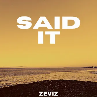 Said It by Zeviz