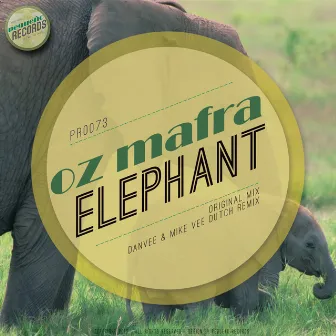 Elephant by Oz Mafra