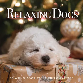 Relaxing Dogs by Relaxing Dogs by the Christmas Tree