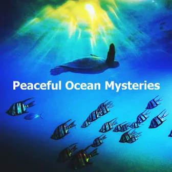 Peaceful Ocean Mysteries by Ocean Mysteries