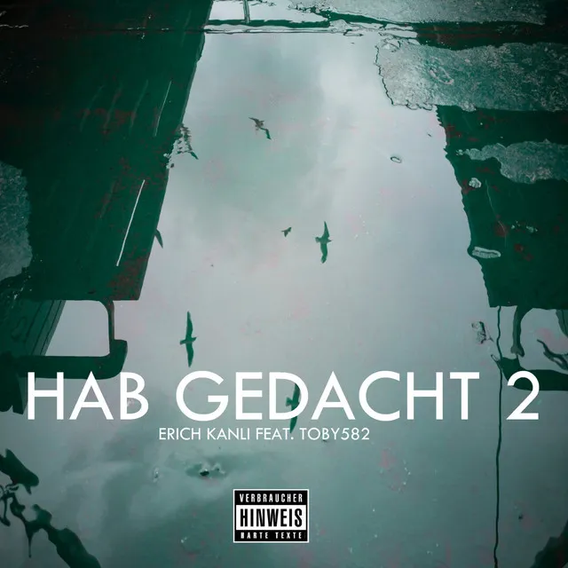 Hab Gedacht 2 (Remix)