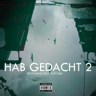 Hab Gedacht 2 (Remix) by Erich Kanli