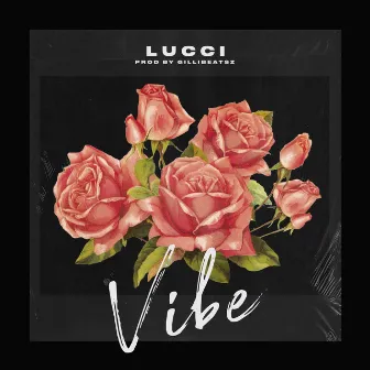 Vibe by Lucci