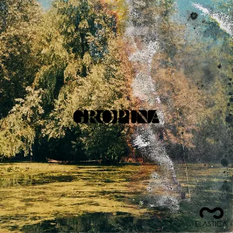 Gropina by Gropina