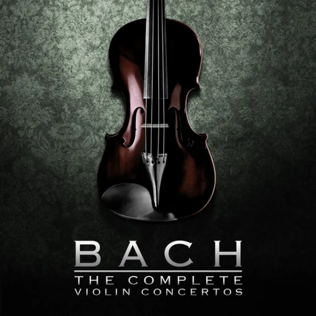 Concerto in D Minor for 2 Violins, Strings and B.C, BWV 1043: II. Largo ma non tanto